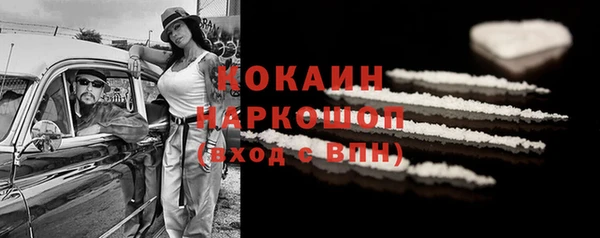 соль ск Дмитров